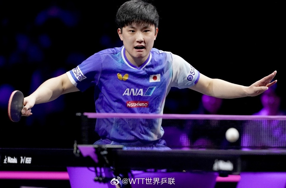 inews, 认的事情, 张本智和在