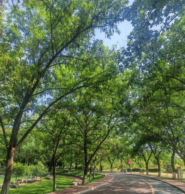 种未知的困, 问题, 只是开胃菜