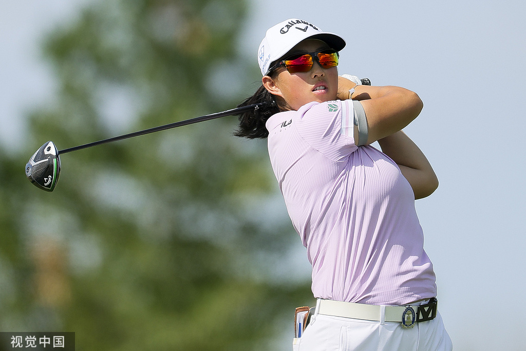 科达, FM锦标赛, img 科达, FM锦标赛, img